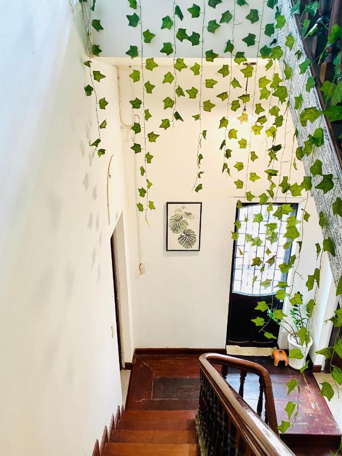 Tabi Homestay Hue Εξωτερικό φωτογραφία